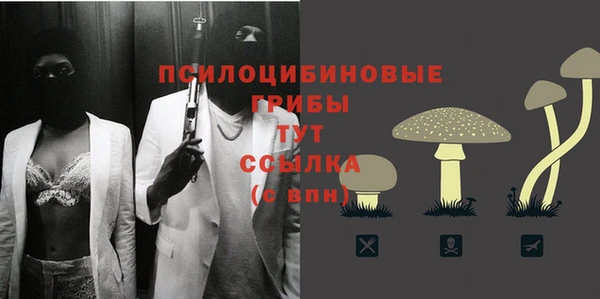 мяу мяу мука Няндома