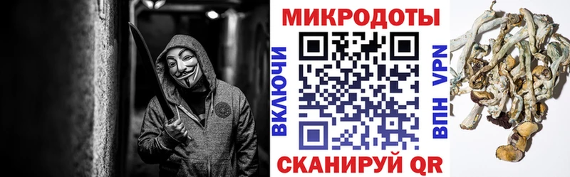 ОМГ ОМГ зеркало  Светлый  Галлюциногенные грибы GOLDEN TEACHER 